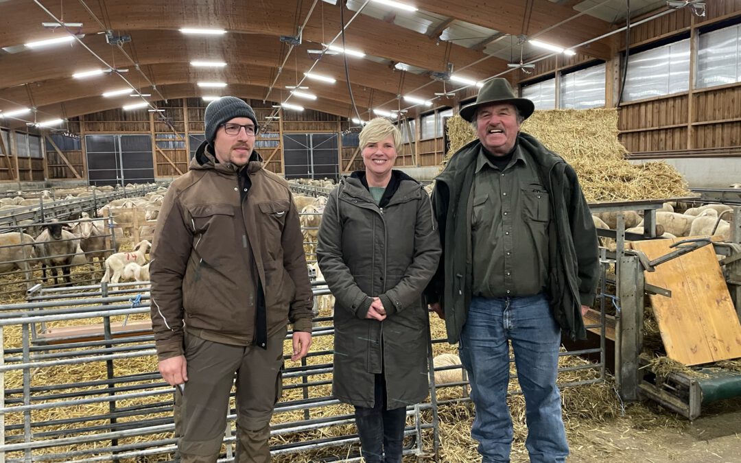 Naturschutz mit Albschafen- Cindy Holmberg zu Besuch bei der Schäferei Stotz